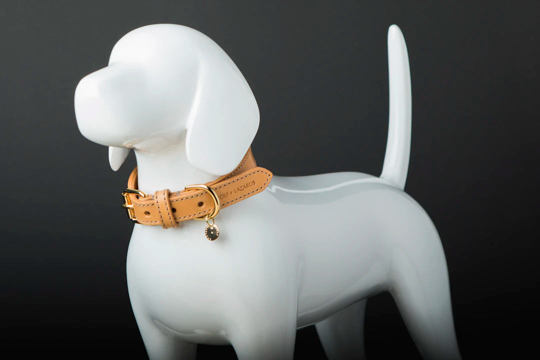 Choosing the Right Leather for Your Collar