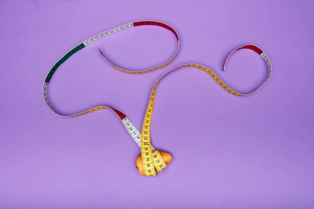 Charming Leather Hucow Accessories for Playful Bondage