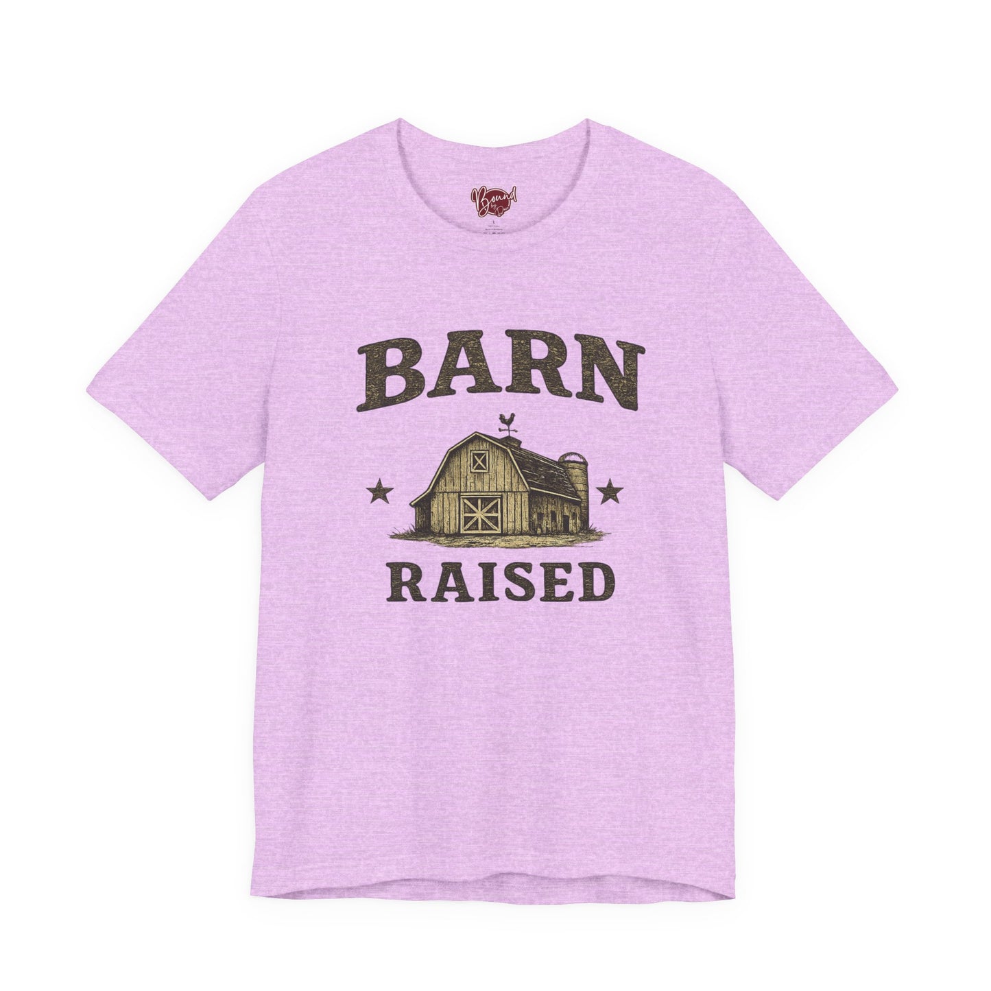 Barn Raised T-Shirt