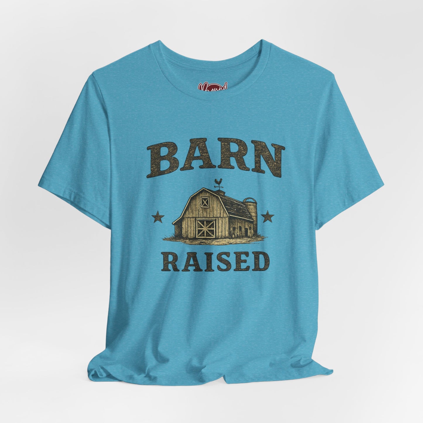 Barn Raised T-Shirt