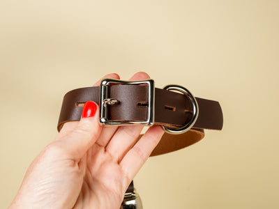 Locking Hucow Collar with Silver Cowbell in Brown Leather