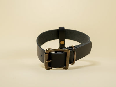 Hucow Collar with Antique Brass Cowbell in Black Leather