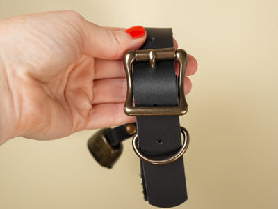 Hucow Collar with Antique Brass Cowbell in Black Leather