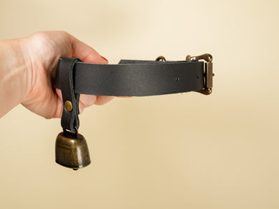 Hucow Collar with Antique Brass Cowbell in Black Leather