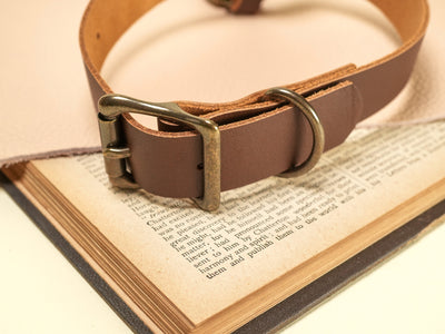 Bound by Dave brown leather cowbell collar with metal buckle and ring on an open book