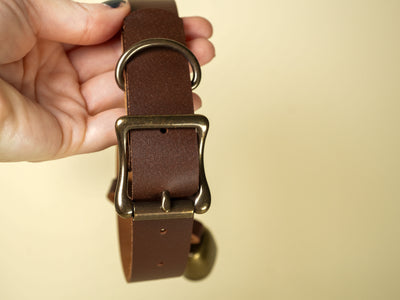Brown leather dog collar with brass buckle and attached cowbell held in hand by Bound by Dave