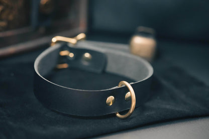 Black leather day collar with gold metal hardware by Bound by Dave on dark fabric