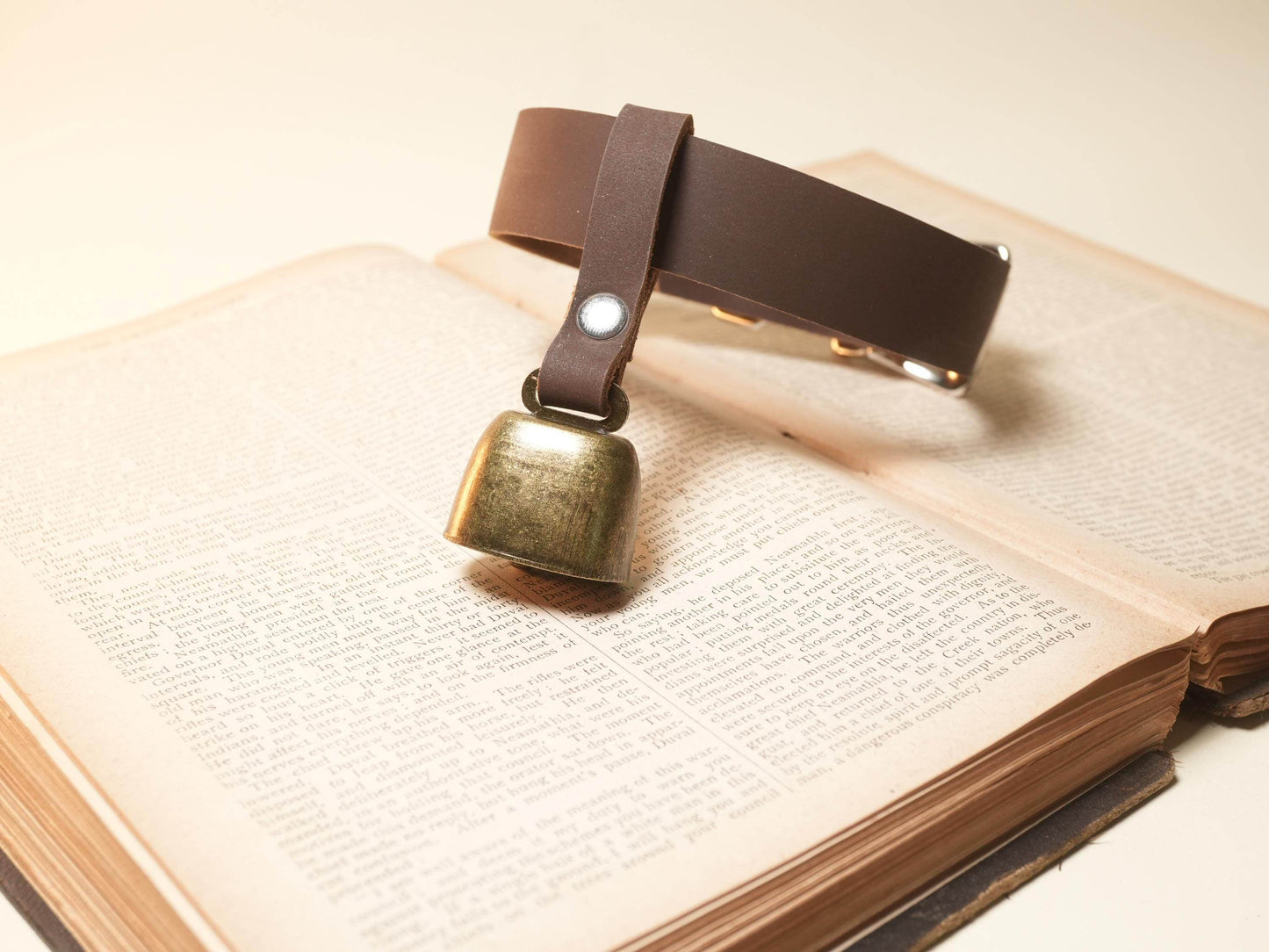 Bound by Dave Hucow Collar with brown leather strap and brass bell placed on an open book