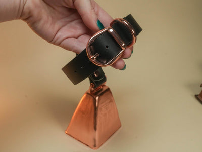 Black leather Hucow Collar with rose gold buckle and large copper cowbell held in hand