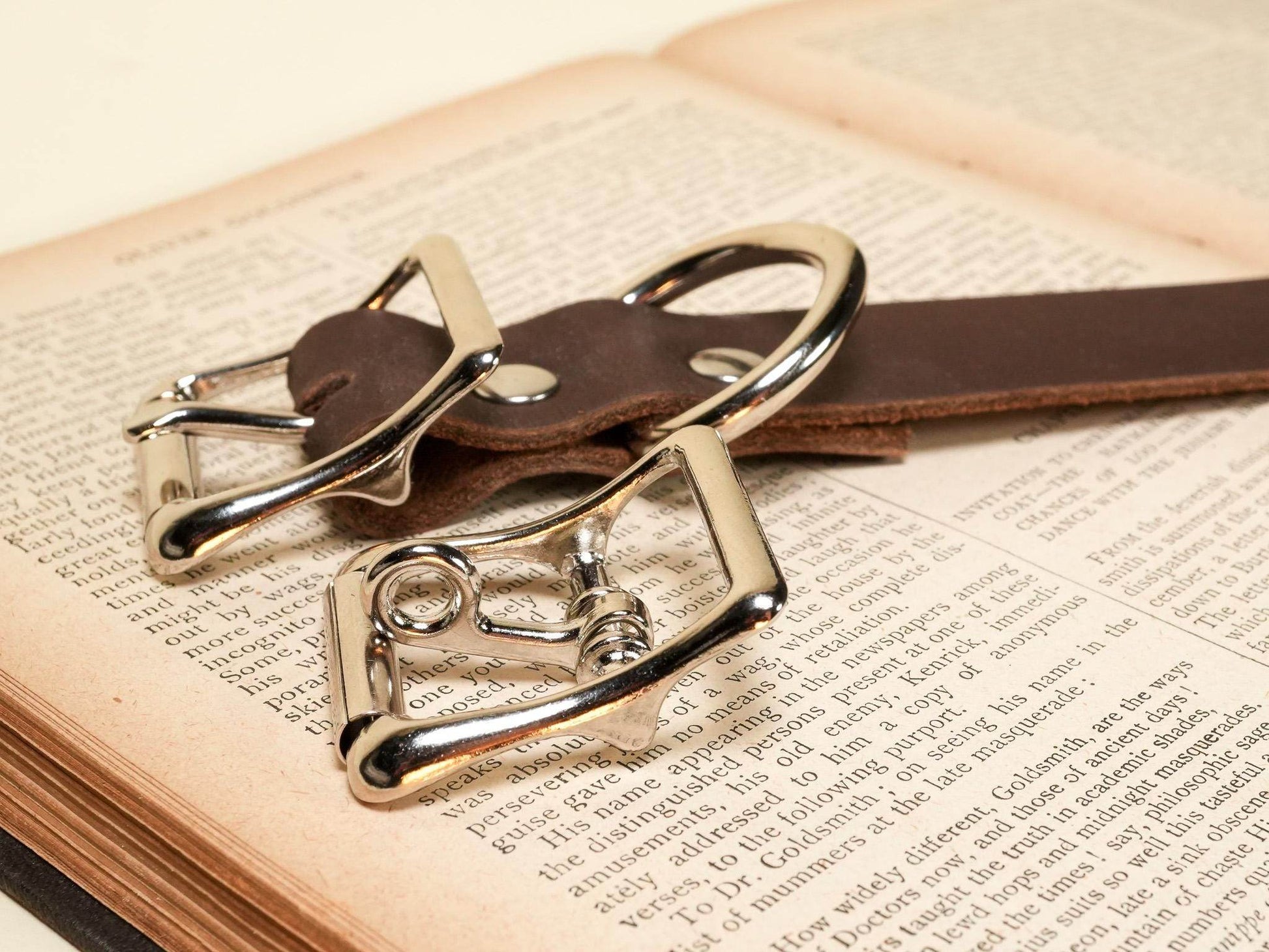 Leather Locking Sub Collar with metal buckles and D-ring laid on an open book by Bound by Dave