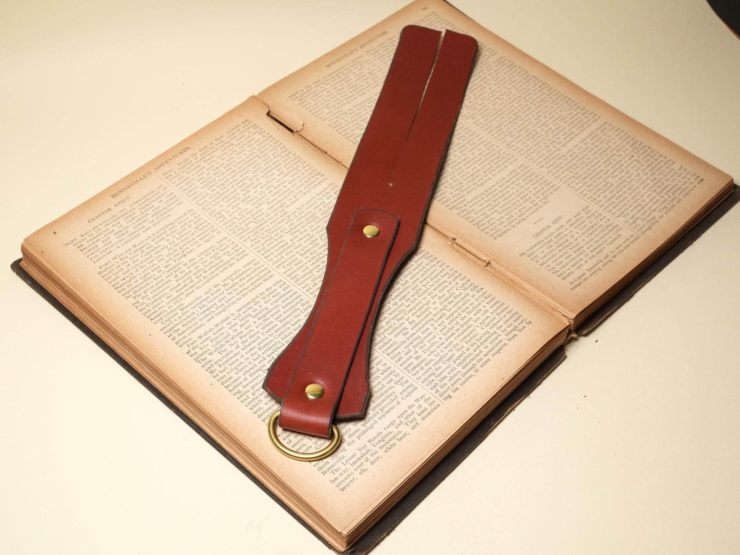 Bound by Dave brown leather Tawse with double straps and brass ring on an open book